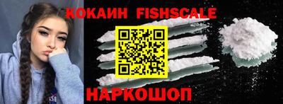 герыч Кингисепп
