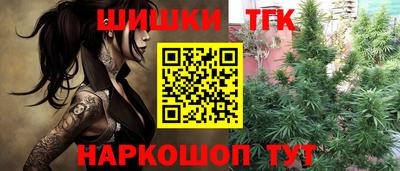 герыч Кингисепп
